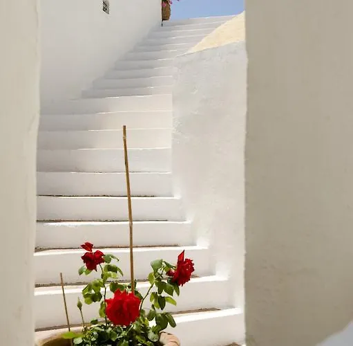 Arhitektoniki فندق